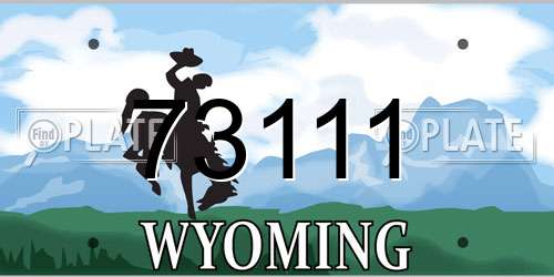 73111 Wyoming License Plate