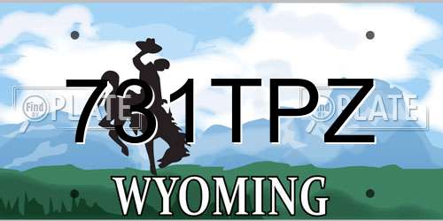 731TPZ Wyoming License Plate