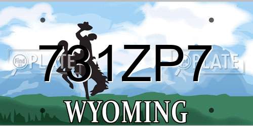 731ZP7 Wyoming License Plate