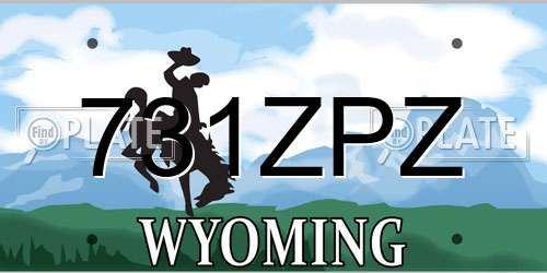 731ZPZ Wyoming License Plate