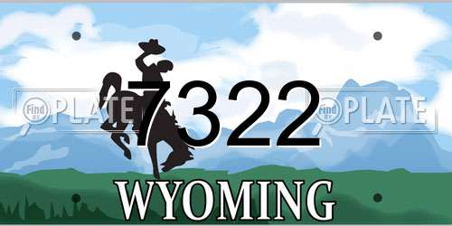 7322 Wyoming License Plate