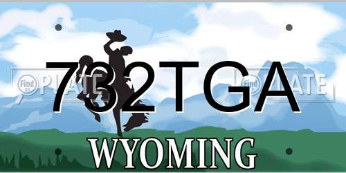 732TGA Wyoming License Plate