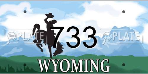 733 Wyoming License Plate