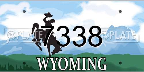 7338 Wyoming License Plate