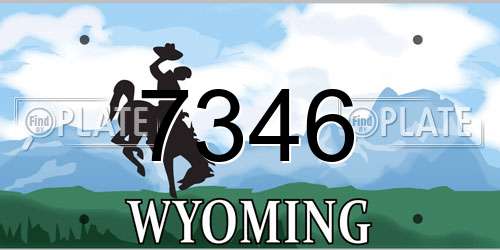 7346 Wyoming License Plate
