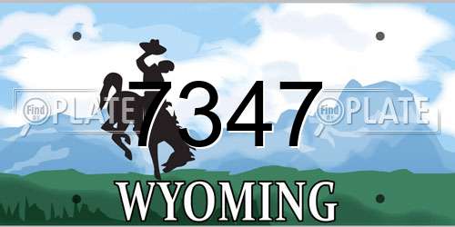 7347 Wyoming License Plate