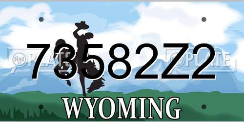 73582Z2 Wyoming License Plate