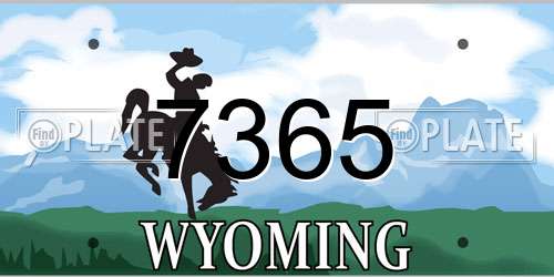 7365 Wyoming License Plate
