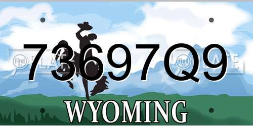73697Q9 Wyoming License Plate