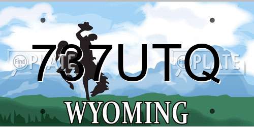 737UTQ Wyoming License Plate