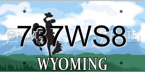 737WS8 Wyoming License Plate