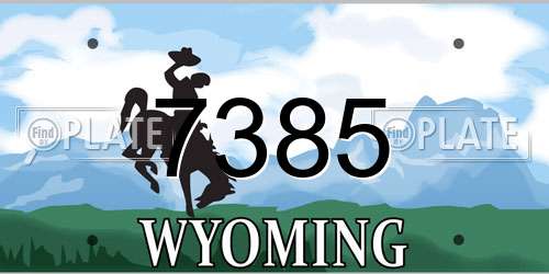 7385 Wyoming License Plate