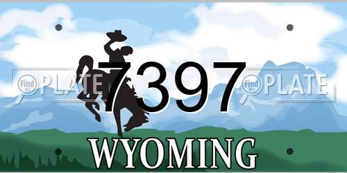 7397 Wyoming License Plate