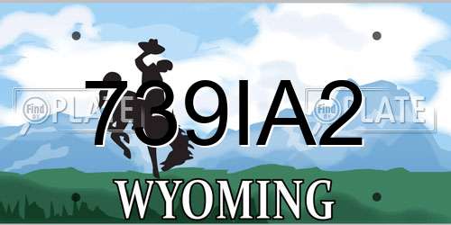 739IA2 Wyoming License Plate