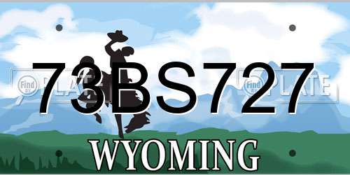 73BS727 Wyoming License Plate