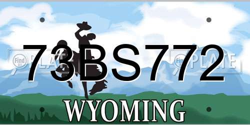 73BS772 Wyoming License Plate