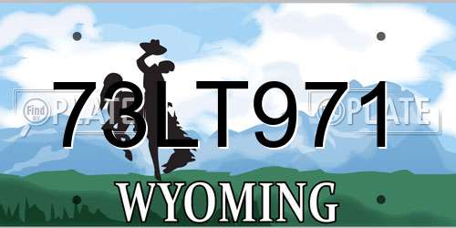 73LT971 Wyoming License Plate