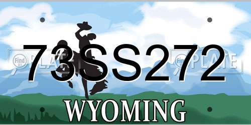 73SS272 Wyoming License Plate
