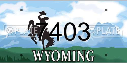 7403 Wyoming License Plate