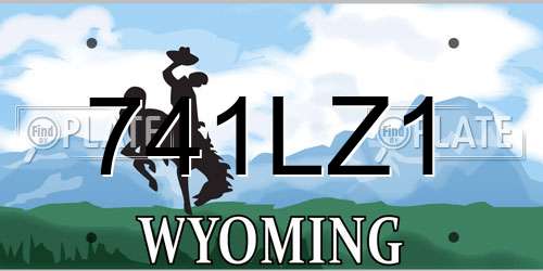 741LZ1 Wyoming License Plate