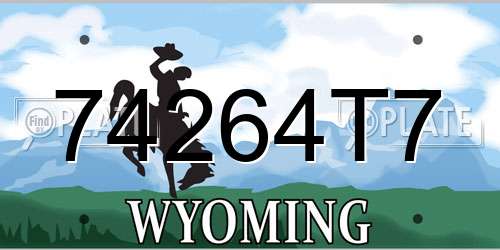 74264T7 Wyoming License Plate