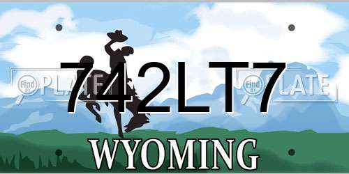 742LT7 Wyoming License Plate