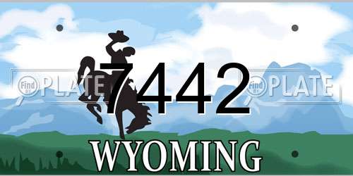 7442 Wyoming License Plate