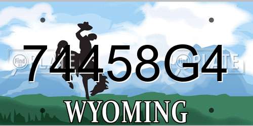74458G4 Wyoming License Plate