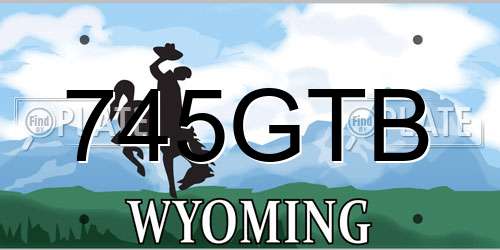 745GTB Wyoming License Plate