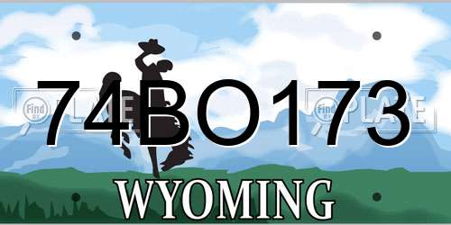 74BO173 Wyoming License Plate
