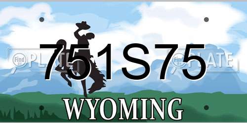 751S75 Wyoming License Plate