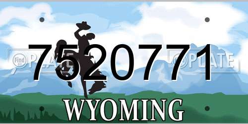 7520771 Wyoming License Plate
