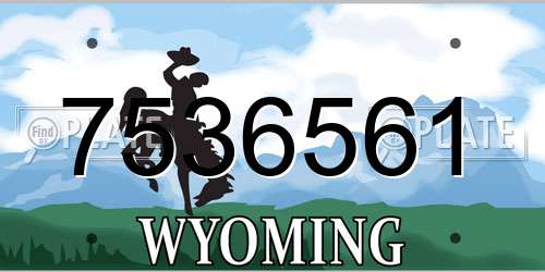 7536561 Wyoming License Plate