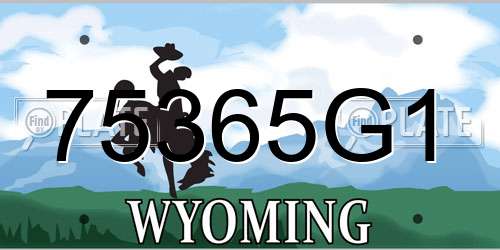 75365G1 Wyoming License Plate