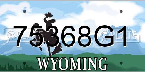 75368G1 Wyoming License Plate