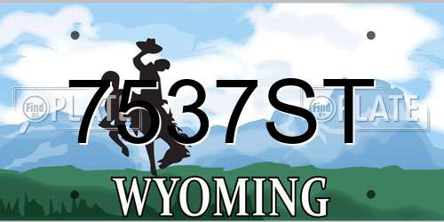7537ST Wyoming License Plate