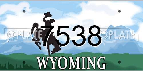 7538 Wyoming License Plate