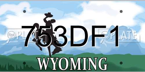 753DF1 Wyoming License Plate
