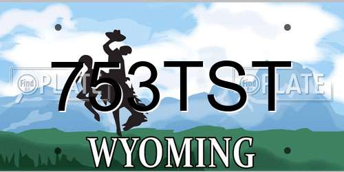 753TST Wyoming License Plate