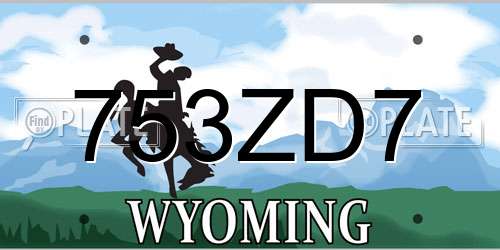 753ZD7 Wyoming License Plate