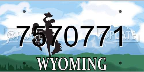 7570771 Wyoming License Plate