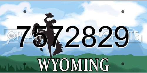 7572829 Wyoming License Plate
