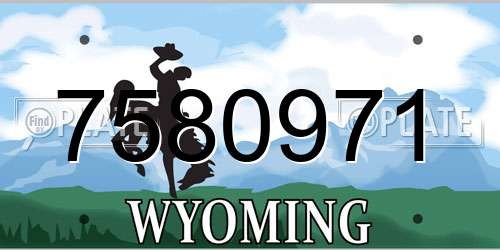 7580971 Wyoming License Plate
