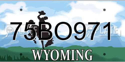 75BO971 Wyoming License Plate