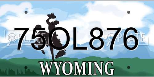 75OL876 Wyoming License Plate