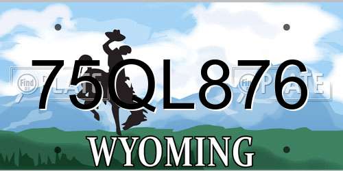 75QL876 Wyoming License Plate