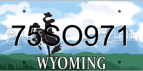 75SO971 Wyoming License Plate