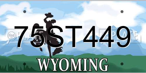 75ST449 Wyoming License Plate