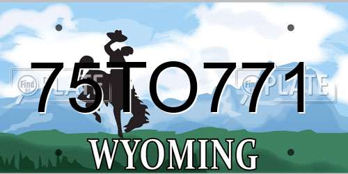 75TO771 Wyoming License Plate