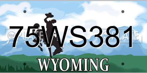 75WS381 Wyoming License Plate